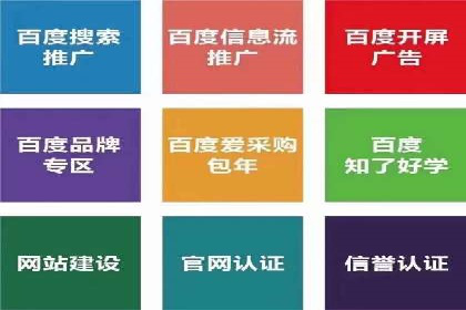 经典案例：专业SEM托管如何实现ROI最大化